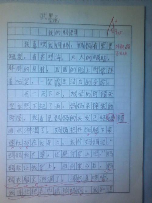 自由组成：自由，生活_1000字