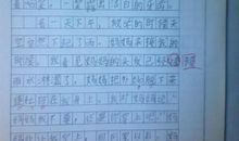 关于自由的作文：自由，生命_1000字