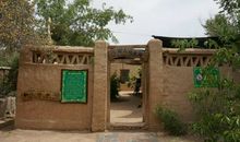 关于自由的作文：一片绿洲——自由_750字