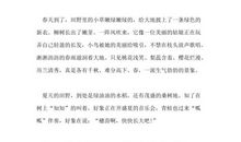 玩乐乎？磨炼哉！_900字