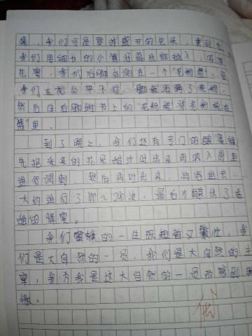 红蛋_550字
