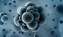 关于新型冠状病毒肺炎作文：不一样的春节抗击疫情_1200字