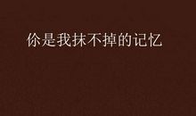 那一段抹不去的记忆_900字