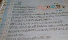 我失去了诚实_500字