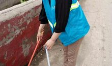 同一片蓝天，同一片沃土_800字