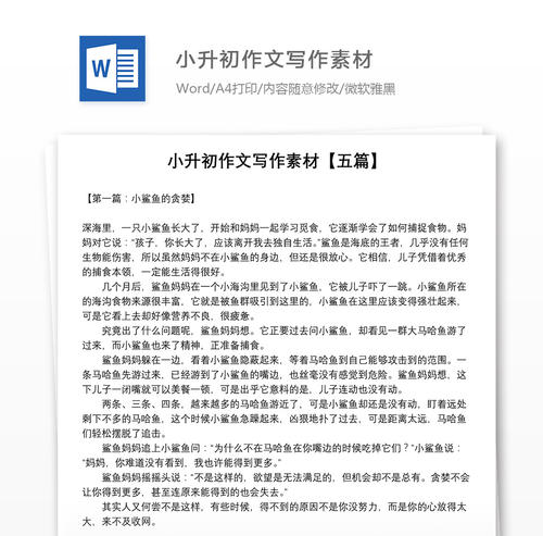 浅谈2010小升初作文复习指导策略
