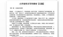 浅谈2010小升初作文复习指导策略