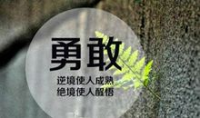 一次勇敢的尝试_800字