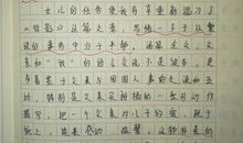 无言的眼泪_800字