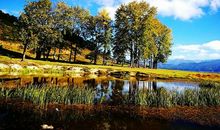 心中最美的香格里拉_600字