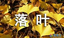 落叶遐思_500字