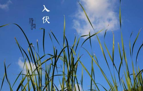 炎热的夏天_550字