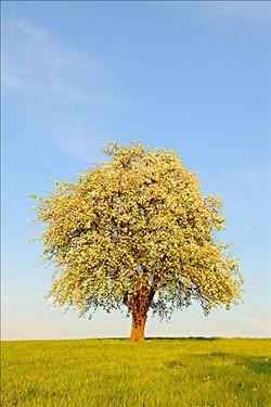 寻找阳光_1500字