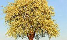 寻找阳光_1500字