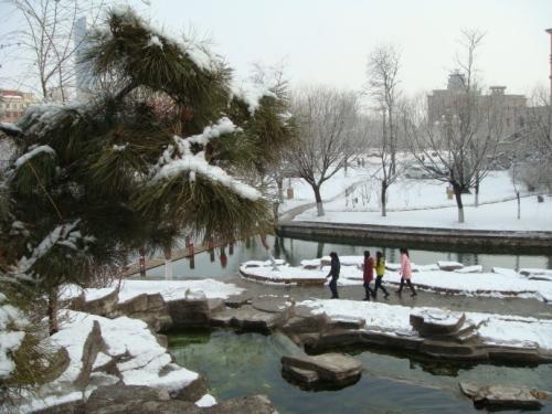 校园雪景_350字