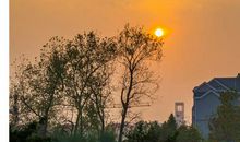 残阳如血桃花落_600字