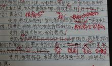 日记：我做老师的日子_900字