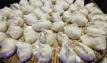 经验交流：写作冲着一天三顿饺子开始_1500字