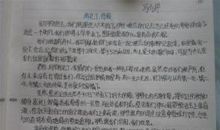 日记：紧张的复习阶段_800字