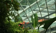 日记：新加坡游记_900字