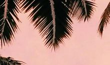 清扰，那时忧_50字