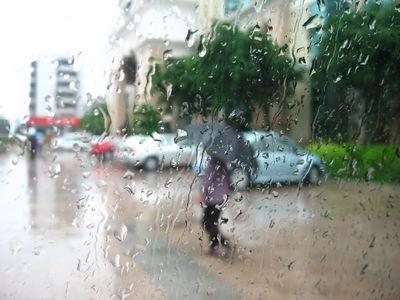 [日常天气]令人讨厌的雨天_200字