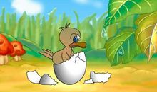 读《丑小鸭》有感_500字