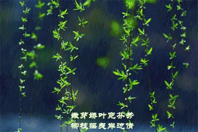 [日常天气] 6月9日_450字