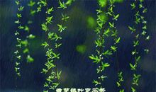 【每日天气】六月九日_450字