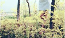 夏天的味道_900字