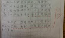 关于勇气的作文：勇气伴我行_450字