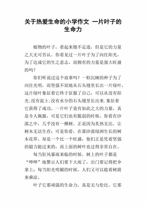 作文写作指南：爱情