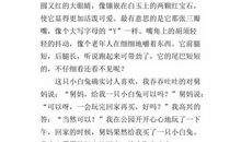 四年级状物作文：小白兔_350字