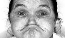 幽默的“小胖子”_900字