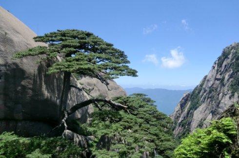 黄山旅游（4_700字