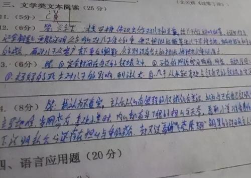 这位老师有点疯狂_400字