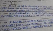 这个老师有点疯_400字