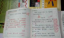 巧用名句写作文批语