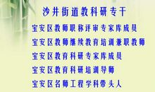 导－写－评－改四步骤作文教学法