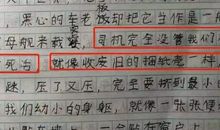 美丽的阿姨_500字