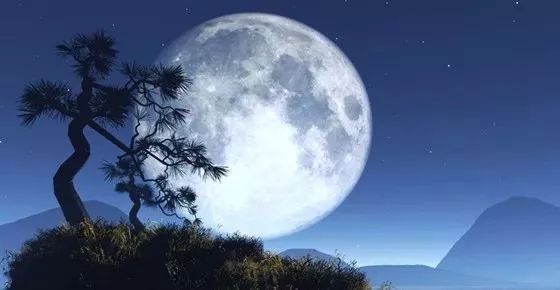 月光之夜_1200字