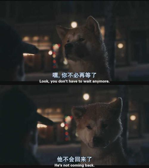 也许，狗的世界是如此简单，纯洁，所以会有人说“你的生活不仅有一只狗，而且你是狗的生命。”在Xiaoda的生活中，帕克是它最接近的伴侣，因为这一点，肖巴等了十年。十年来，对我们来说可能很短，可能很长，很多事情发生在我们十年内，十年来，随着时间的推移，将我们推向我们的人，事物，事物的第一个坚持不懈，我们会慢慢让我们慢慢让去，甚至被遗忘......但是这是一个看似一个看似的折磨，只有八只普通的狗这样做，它使用它的生命来解释对所有者的忠诚和爱。