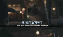 最美的等待--电影《忠犬八公》观后感_1200字