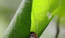 心灵的缝隙_1200字