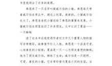 我的“温暖”寒假_350字