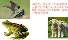 蚂蚁和青蛙_400字