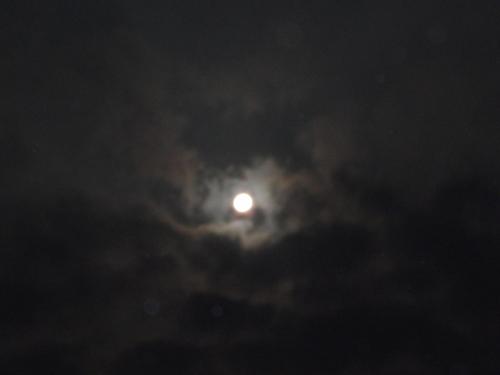 冬夜