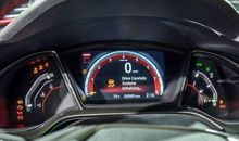 我们的去向_300字