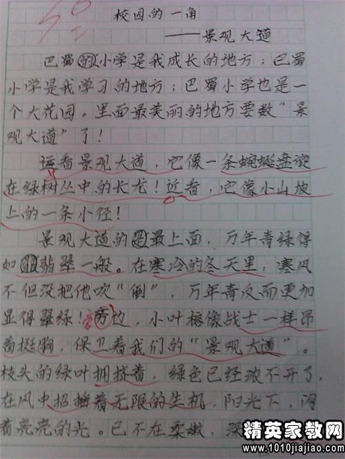 构成经验：初中作文体验谈话者：