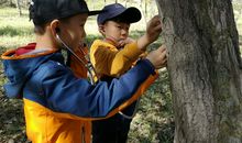 和平共处，你好我好大家好_750字